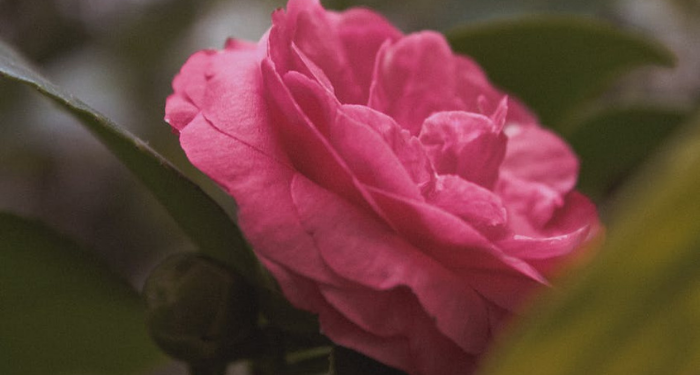 Istigfar Menjadikan Hidup Indah dan Menyenangkan