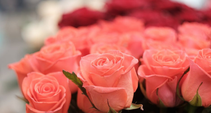 Orang yang paling Baik Islamnya