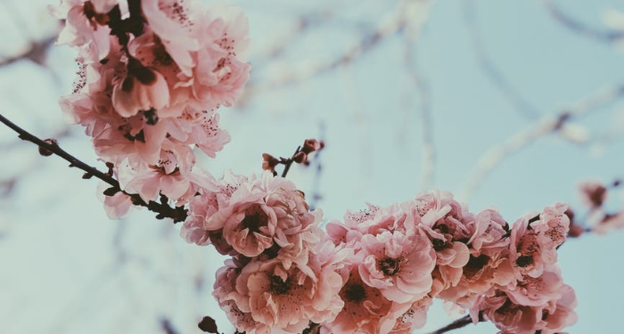 Di antara Sebab Kebahagiaan