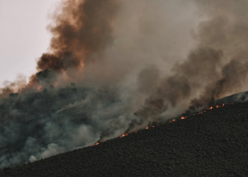 Televisi Digital Hadirkan Sistem Peringatan Dini Kebencanaan