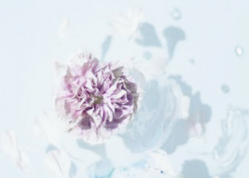 Sedikit tapi Rutin Lebih Baik daripada Banyak Sekaligus