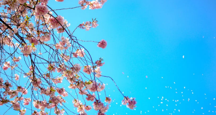 Nasihat agar Hidup Tenang