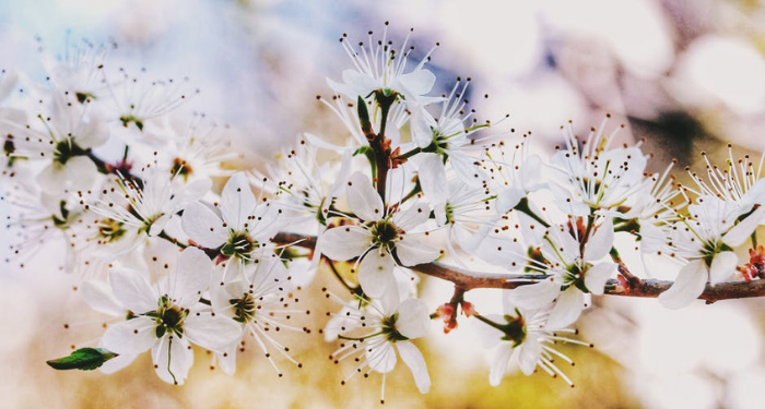 An-Nas Ayat 1, Berlindung kepada Rabb Manusia