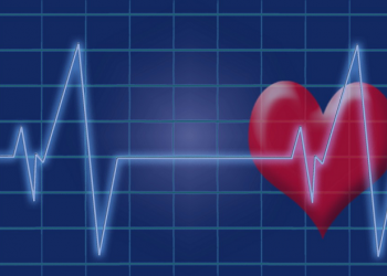 Mendengar Detak Jantung Janin untuk Pertama Kali