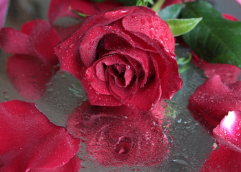 Yunus 26: Allah Beri Balasan Berlipat-lipat Bagi Orang yang Berbuat Kebaikan