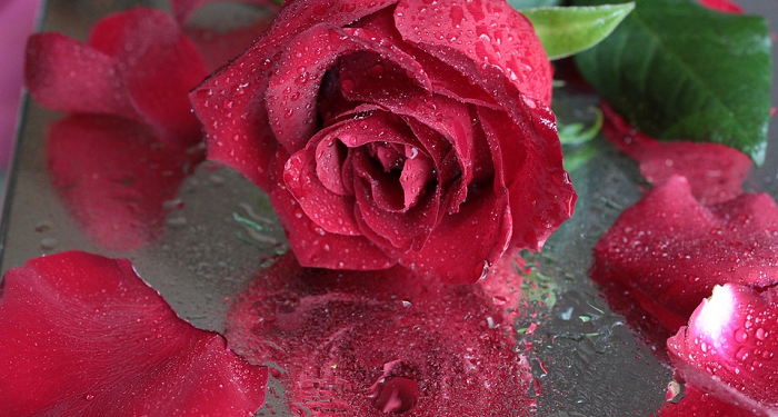 Yunus 26: Allah Beri Balasan Berlipat-lipat Bagi Orang yang Berbuat Kebaikan