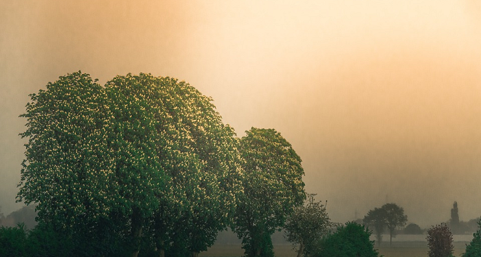 5 Pesan Nabi Kepada Orang Yang Berdakwah
