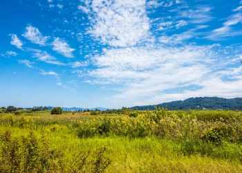 Kisah Zulkifli dengan Setan yang Berwujud Orang Tua (Bag.1)