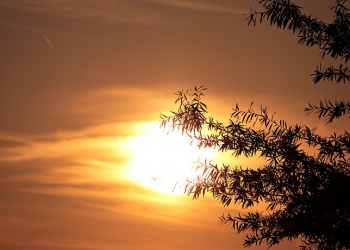 Kesabaran Zulkifli Melawan Setan Berwujud Orang Tua (Bag.2)