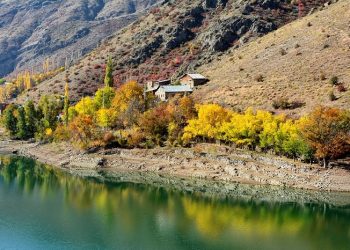 Musa dan Harun Selamat dari Kebijakan Pembunuhan yang Dibuat Fir'aun