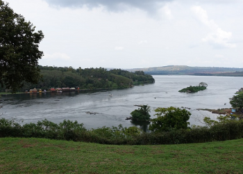 Bayi Musa Memasuki Kediaman Fir'aun