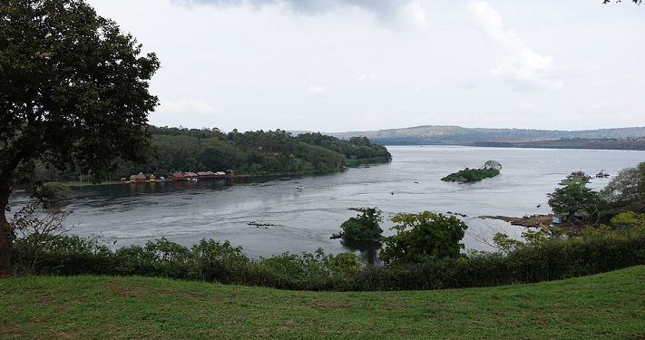 Bayi Musa Memasuki Kediaman Fir'aun