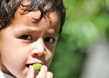 7 Tips Mengatasi Balita Susah Makan