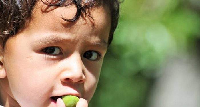 7 Tips Mengatasi Balita Susah Makan