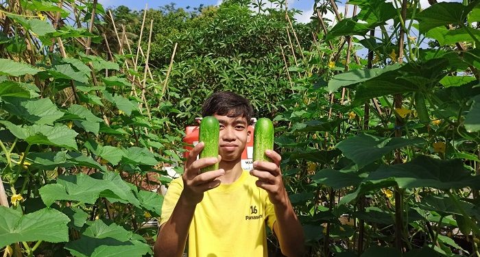 Wiramuda Tani Gemilang Solusi Pemberdayaan Pemuda Dari Desa Gemilang