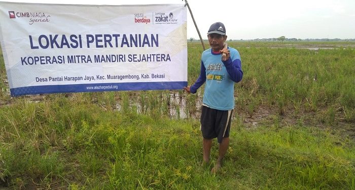 Berkah Zakat, Bebaskan Petani Muara Gembong dari Riba
