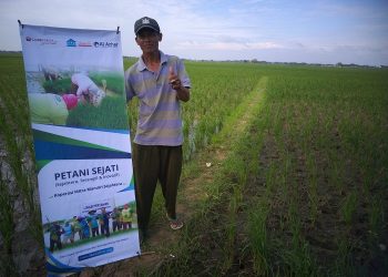 Berkah Zakat, Bantu Wujudkan Jamhari Jadi Petani Sejati