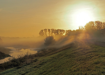 Peran Khadijah di Awal Turunya Wahyu Kepada Rasulullah