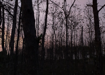 Muhammad Takut Menjadi Dukun Sebelum Tahu Diangkat Menjadi Rasul