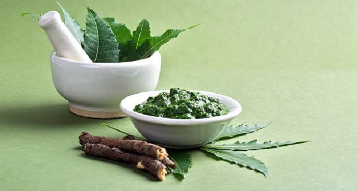 3 Manfaat Daun Neem untuk Kecantikan