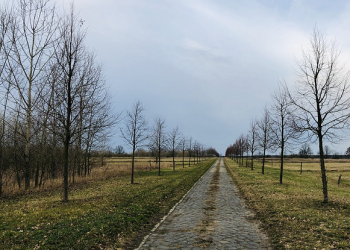 Jangan Lelah Mengejar Musuh