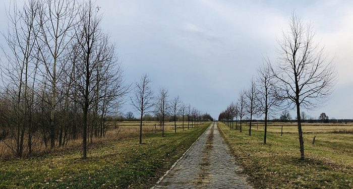 Jangan Lelah Mengejar Musuh