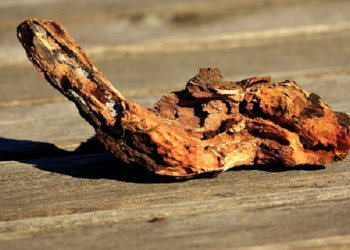 Keberanian Ummu Fadhl Memukul Abu Lahab