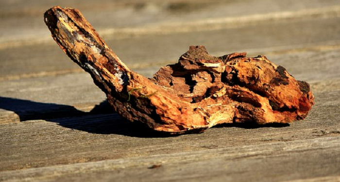 Keberanian Ummu Fadhl Memukul Abu Lahab