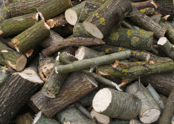 Al-Lahab: Penghinaan Untuk Abu Lahab dan Istrinya