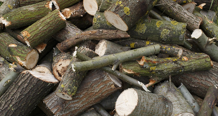 Al-Lahab: Penghinaan Untuk Abu Lahab dan Istrinya