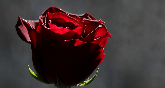 Perbedaan Wanita Serius dan Main-Main Saat Diajak Nikah