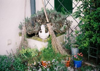 Menjadi Istri dan Ibu