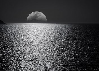 Mendekatkan Diri dengan Rasulullah