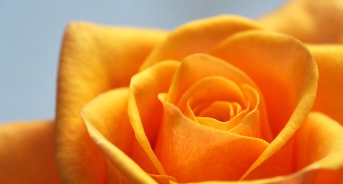 Jangan Berpura-Pura Mencintainya