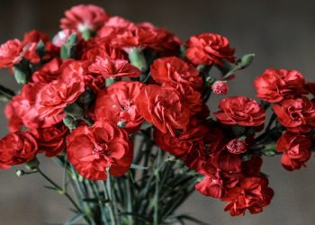 Cara agar Hati Tenang