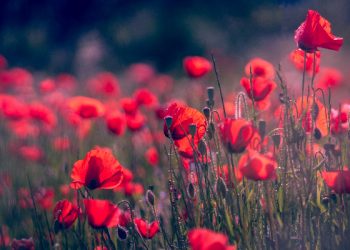 6 Hal yang Tidak Boleh Dilakukan oleh Wanita Haid