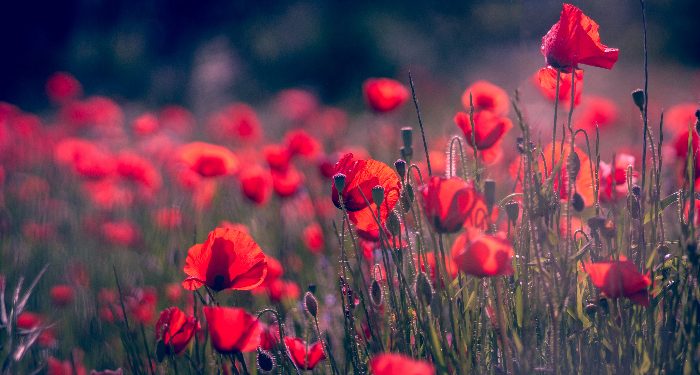 6 Hal yang Tidak Boleh Dilakukan oleh Wanita Haid