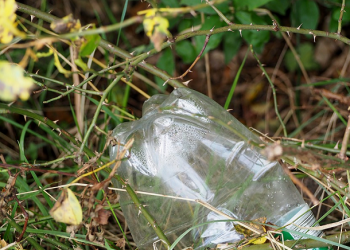 Kisah Bu Ipit yang Memilih Menjadi Pemulung Sampah Plastik Demi Menjaga Anak