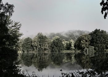 Kisah Dibalik Perintah Fir'aun untuk Membunuh Anak Laki-Laki