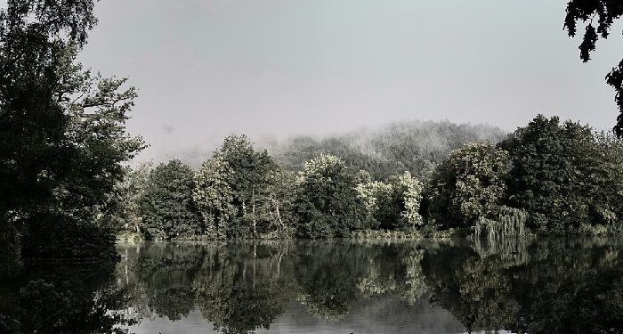 Kisah Dibalik Perintah Fir'aun untuk Membunuh Anak Laki-Laki
