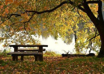 Hak-Hak Orang yang Sudah Meninggal