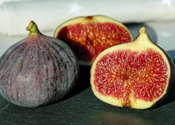 Makna 4 Sumpah Allah Pada Surah At-Tiin