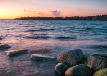 4 Golongan yang Dirindukan Surga