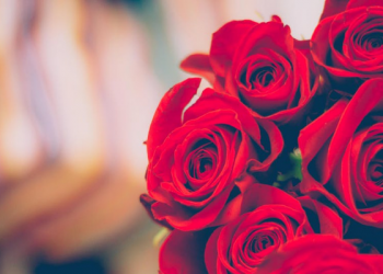 Akhlak, antara Bawaan dan Diusahakan