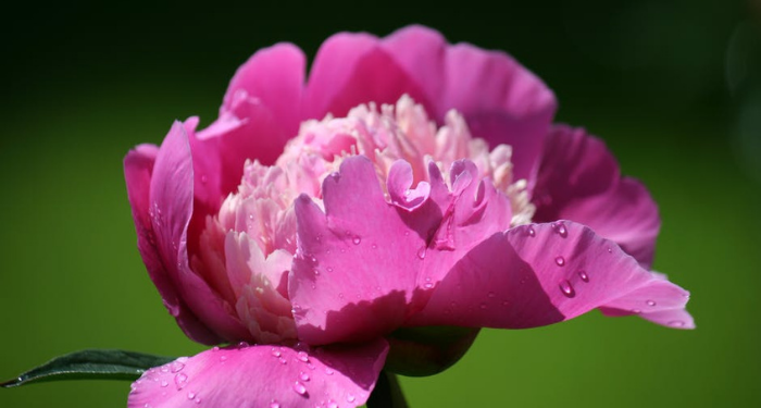 Tanda Diterimanya Amalan Soleh di Bulan Ramadan