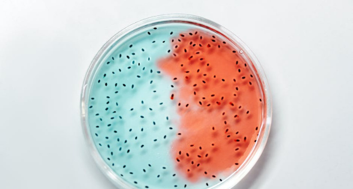 Sub Baru Varian Covid-19 XE, XD, dan XF