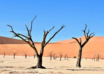 Tantangan Hijrah Abu Salamah Bersama Istri dan Anaknya