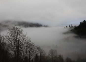 Ketika Fitnah Menyelimuti Keadaan Suatu Zaman