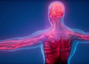 Ayat-Ayat Al-Qur'an Tentang Penciptaan Manusia