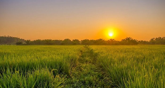 Allah Pasti Inginkan yang Lebih Baik